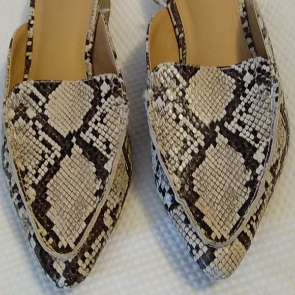 Express Mule 9 - Picture 2 of 6